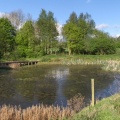 Pond Shrewsbury.JPG